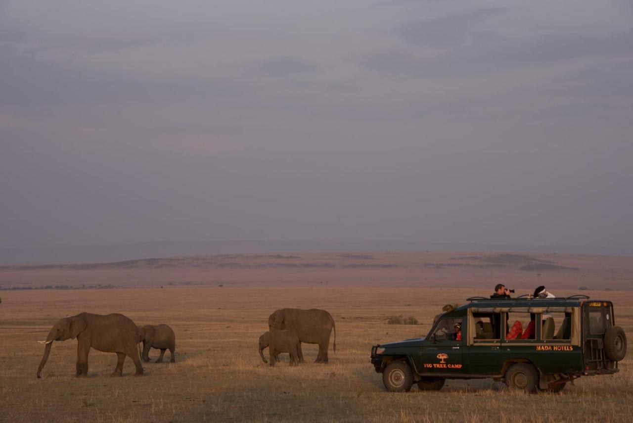 Готель Fig Tree Camp - Maasai Mara Talek Екстер'єр фото