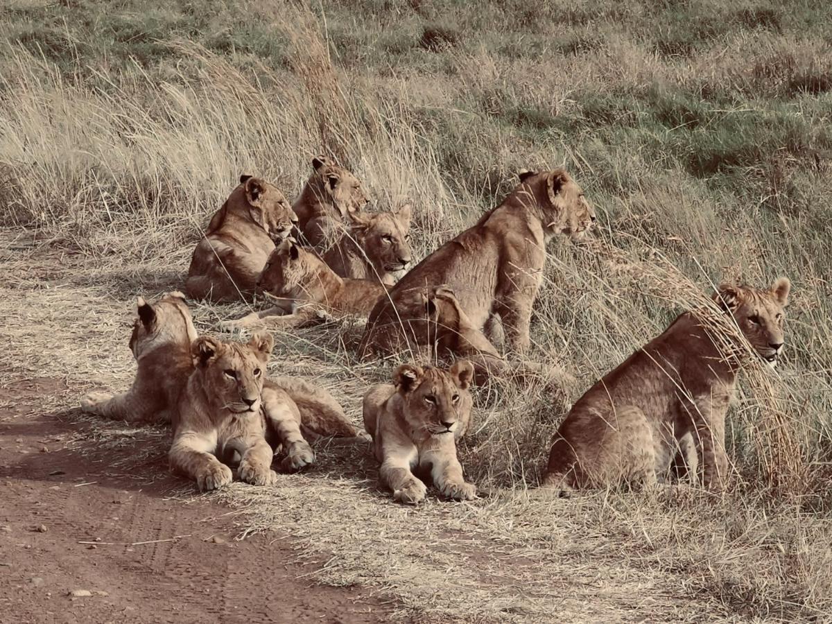 Готель Fig Tree Camp - Maasai Mara Talek Екстер'єр фото