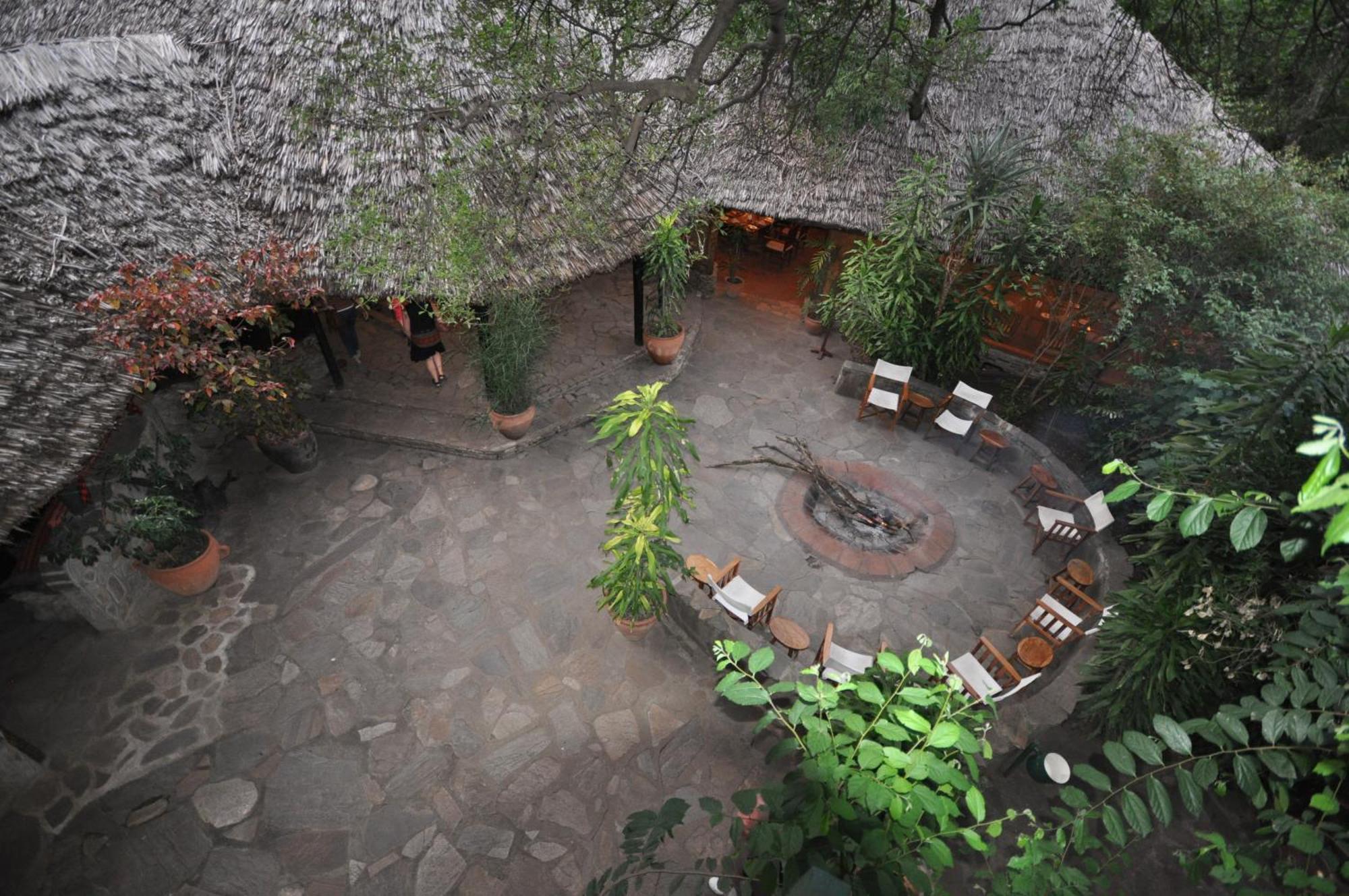 Готель Fig Tree Camp - Maasai Mara Talek Екстер'єр фото